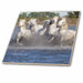 image of 8 Inch Ceramic Tile