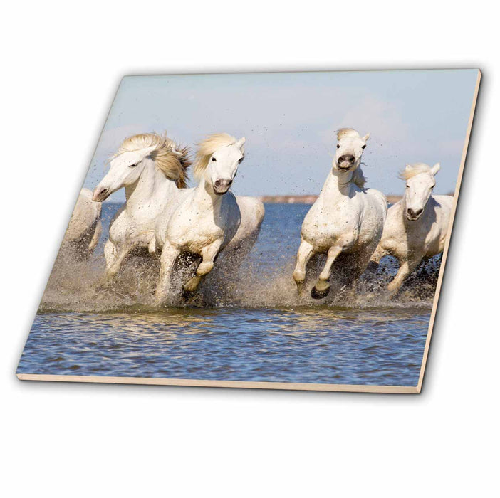 image of 8 Inch Ceramic Tile