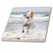 image of 8 Inch Ceramic Tile