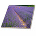 image of 8 Inch Ceramic Tile