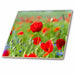 image of 12 Inch Glass Tile