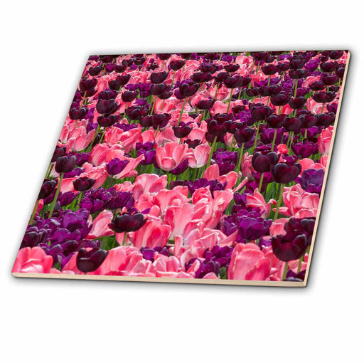 image of 4 Inch Ceramic Tile