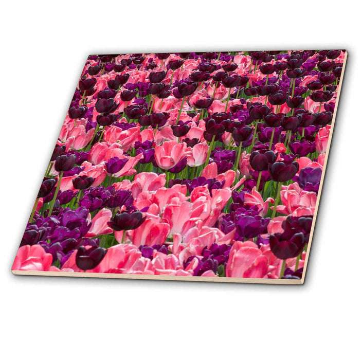 image of 12 Inch Ceramic Tile