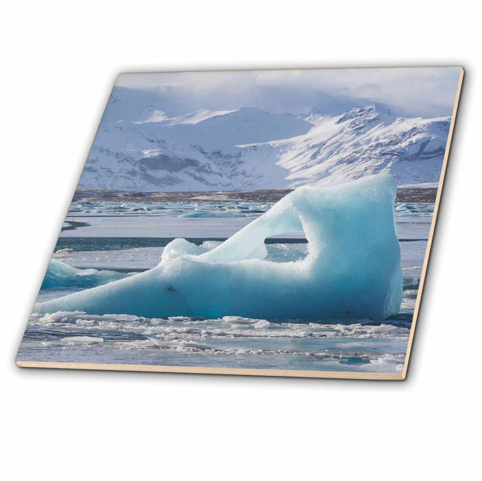 image of 8 Inch Ceramic Tile