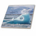 image of 8 Inch Ceramic Tile