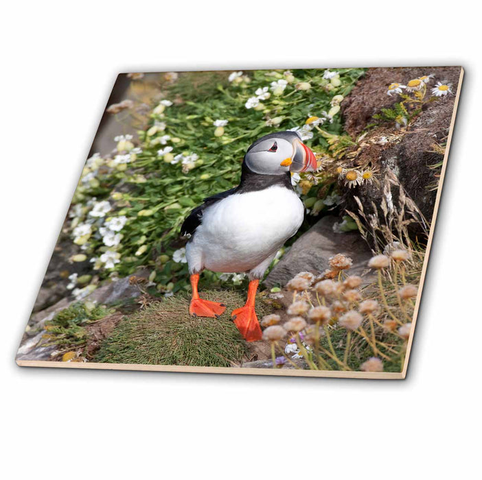 image of 12 Inch Glass Tile