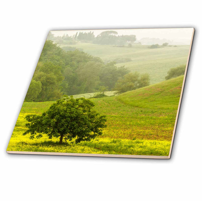 image of 12 Inch Glass Tile