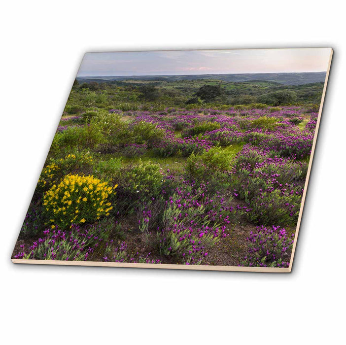 image of 4 Inch Glass Tile