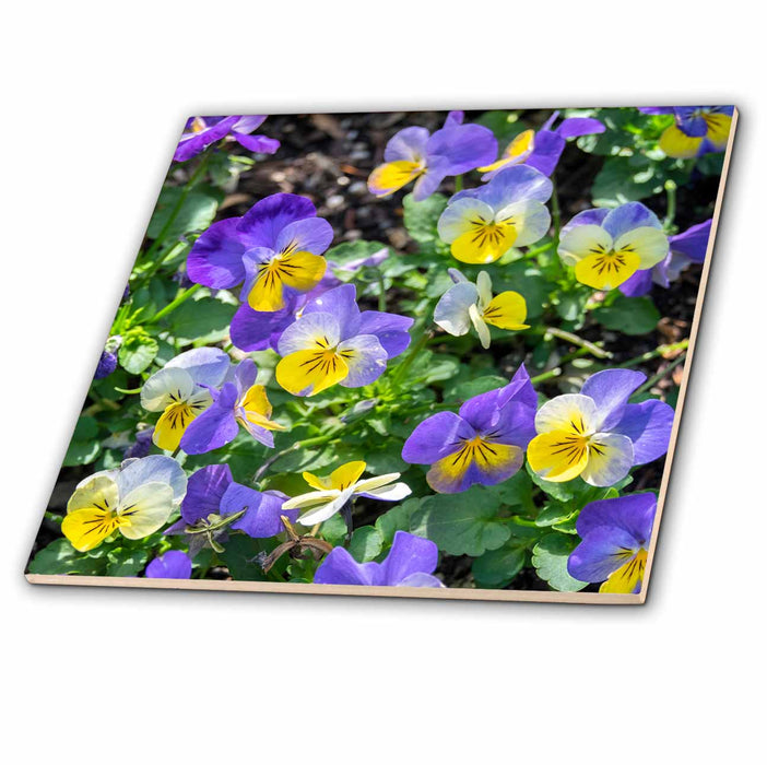 image of 6 Inch Ceramic Tile