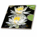 image of 6 Inch Ceramic Tile