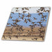 image of 6 Inch Ceramic Tile