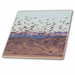 image of 6 Inch Glass Tile