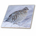 image of 6 Inch Glass Tile