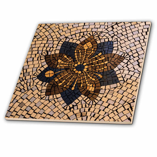 Historic Spanish cathedral tile pattern art print featuring Buenos Aires architecture and vintage church floor design.