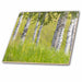 image of 12 Inch Glass Tile