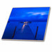 image of 6 Inch Glass Tile