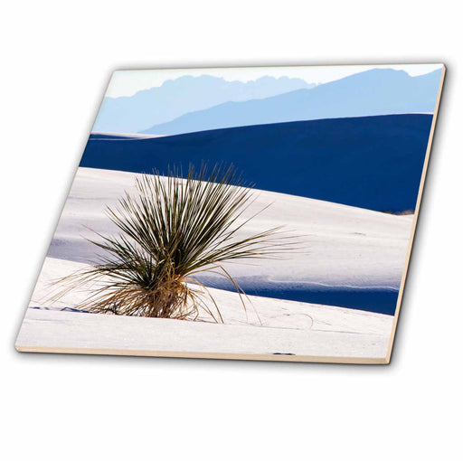 image of 4 Inch Ceramic Tile
