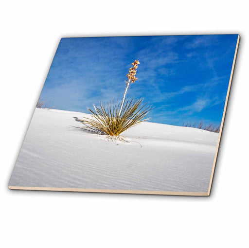 image of 4 Inch Ceramic Tile