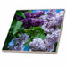 image of 4 Inch Glass Tile