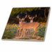 image of 12 Inch Ceramic Tile