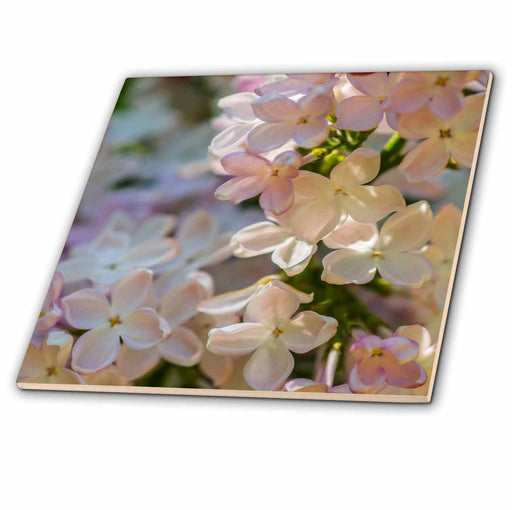 image of 4 Inch Ceramic Tile