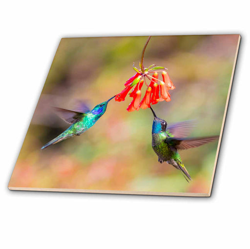 image of 4 Inch Ceramic Tile