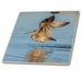 image of 8 Inch Ceramic Tile