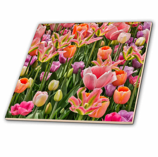 image of 4 Inch Ceramic Tile