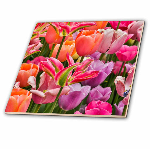 image of 4 Inch Ceramic Tile