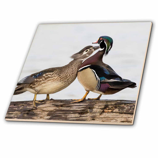 image of 4 Inch Ceramic Tile