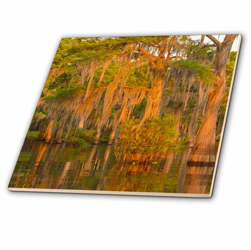 image of 4 Inch Ceramic Tile