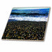 image of 8 Inch Glass Tile