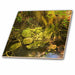 image of 12 Inch Glass Tile