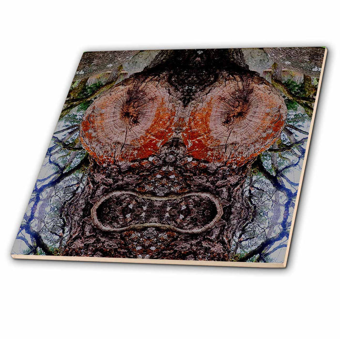 image of 12 Inch Ceramic Tile