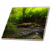 image of 6 Inch Glass Tile