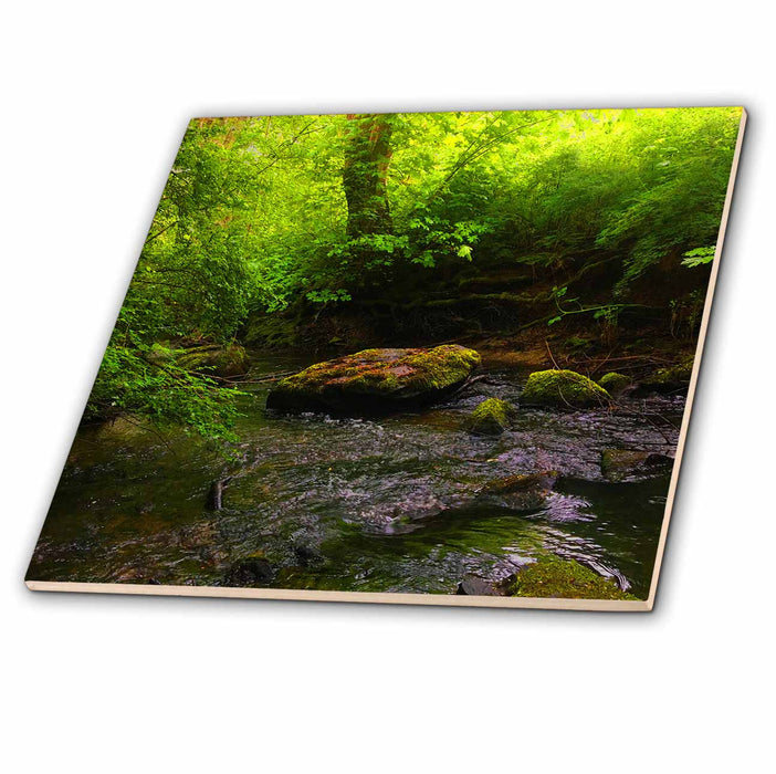 image of 12 Inch Glass Tile