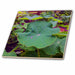 image of 12 Inch Ceramic Tile