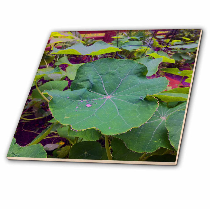 image of 8 Inch Glass Tile