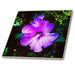 image of 12 Inch Glass Tile