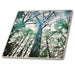 image of 4 Inch Ceramic Tile