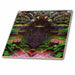 image of 8 Inch Ceramic Tile