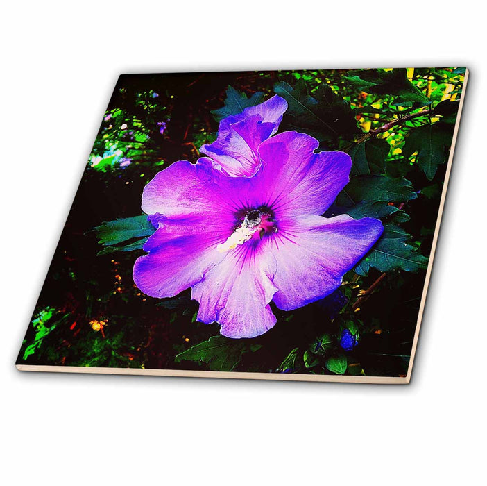 image of 8 Inch Ceramic Tile