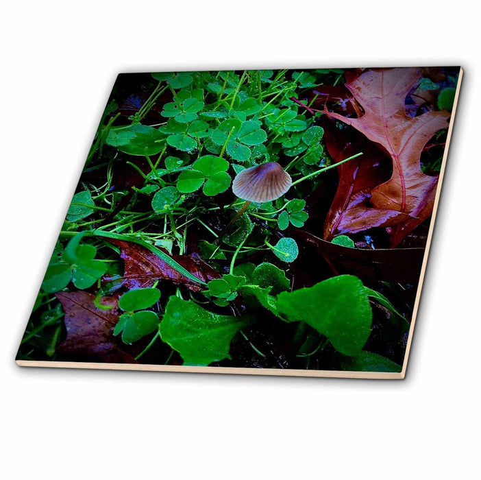 image of 4 Inch Glass Tile