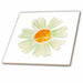 image of 6 Inch Glass Tile