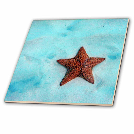 image of 4 Inch Ceramic Tile