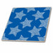 image of 8 Inch Ceramic Tile