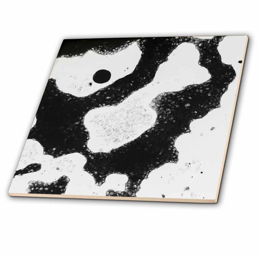 image of 4 Inch Ceramic Tile