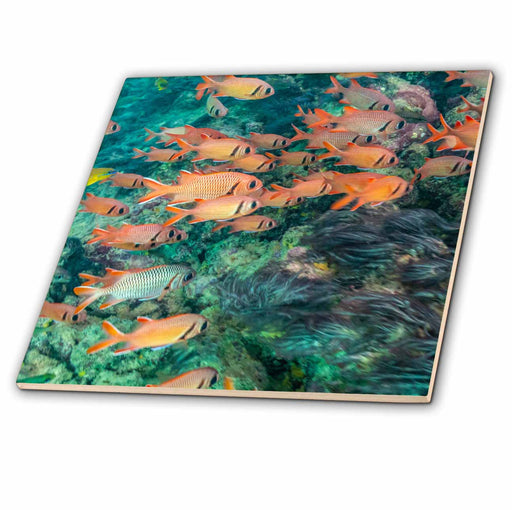image of 4 Inch Ceramic Tile