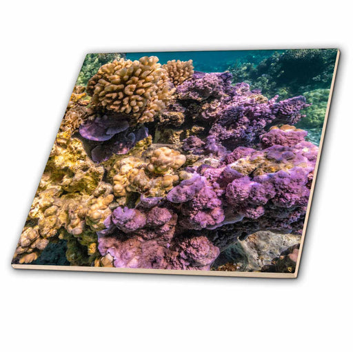 image of 4 Inch Ceramic Tile