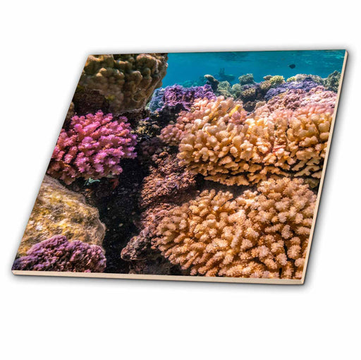 image of 4 Inch Ceramic Tile